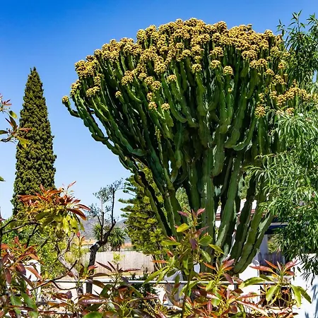 The Palms Boutique Malaga - Adults Only Bed & Breakfast Alhaurin de la Torre